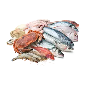 icon Sea Foods