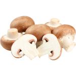Button Mushroom Brown