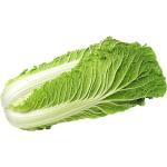 Cabbage Chinese