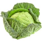 Cabbage Savoy Holland