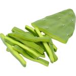 Cactus Prickly | Nopal