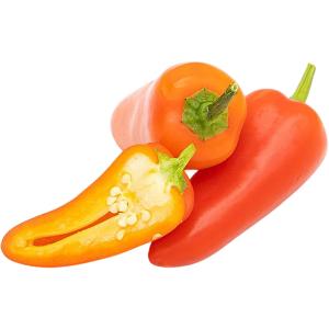 Chilli Jalapeno Red Holland