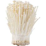 Enoki Mushroom