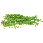 Green Pepper Corn Thailand