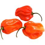 Habanero Chilli Green