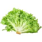 Lettuce Frisee Green