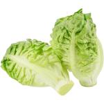 Lettuce Gem