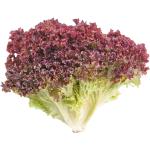 Lettuce Lollo Rosso Sanitized