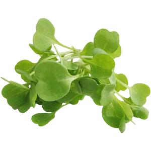 Micro Arugula Cress