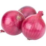 Onion Red