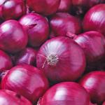 Onion Red