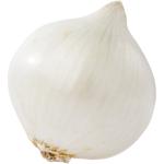 Onion White