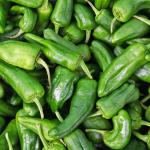 Padron Peppers
