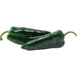 Poblano Peppers