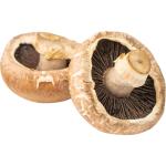 Portobello Mushroom