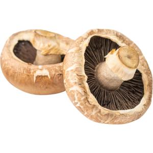 Portobello Mushroom