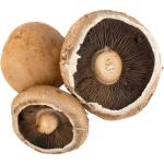 Portobello Mushroom