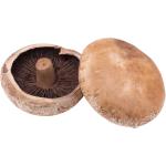 Portobello Mushroom
