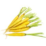 Yellow Carrot
