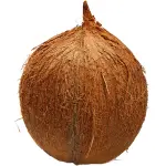 Brown Coconut