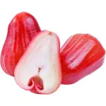 Rose Apple Red