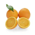 Orange Navel