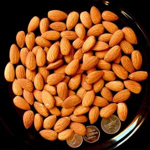 Almond Large