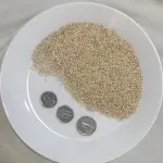 Quinoa Seeds White