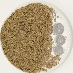 Cumin Seeds Price In Dubai