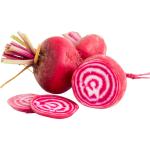 Beetroot Chioggia
