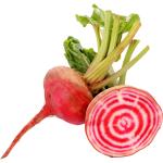 Beetroot Chioggia