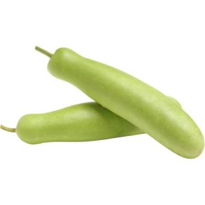 Bottle Gourd