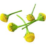 Buzz Buttons Flowers