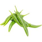 Green Chilli Long