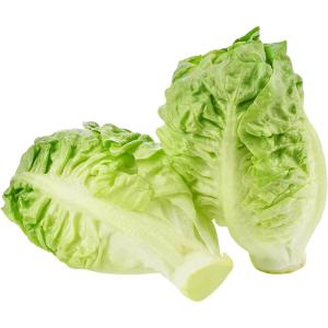 Lettuce Gem
