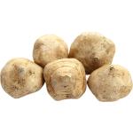 Mexican Turnip | Jicama