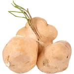 Mexican Turnip | Jicama