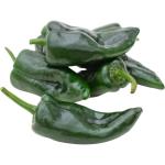 Poblano Peppers
